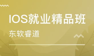 南京软件开发培训 如何选择优质的辅导班与行业趋势